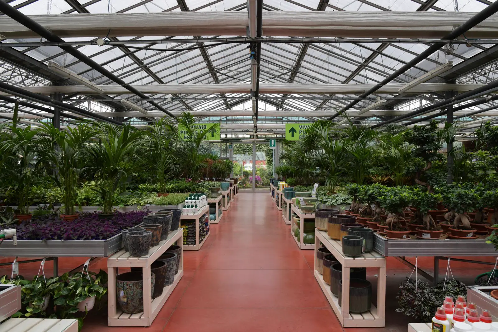 Piante e prodotti in esposizione in negozio