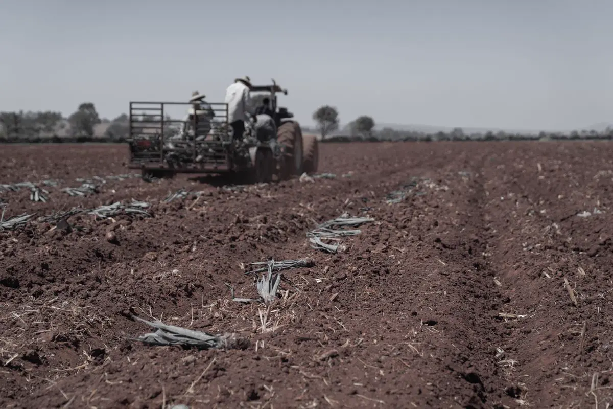 Trattore al lavoro in un campo